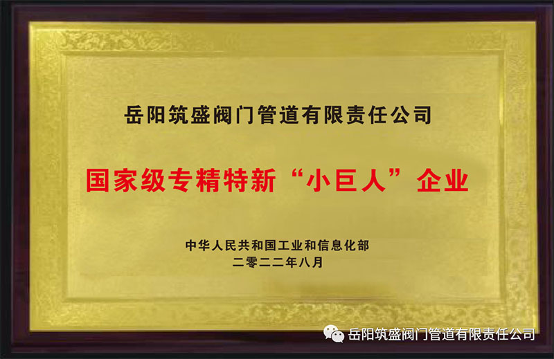 熱烈祝賀我公司榮獲國(guó)家級(jí)專精特新“小巨人”企業(yè)